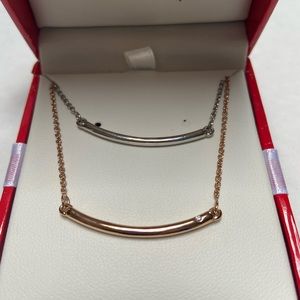 Beautiful Curved Bar Layered Necklace